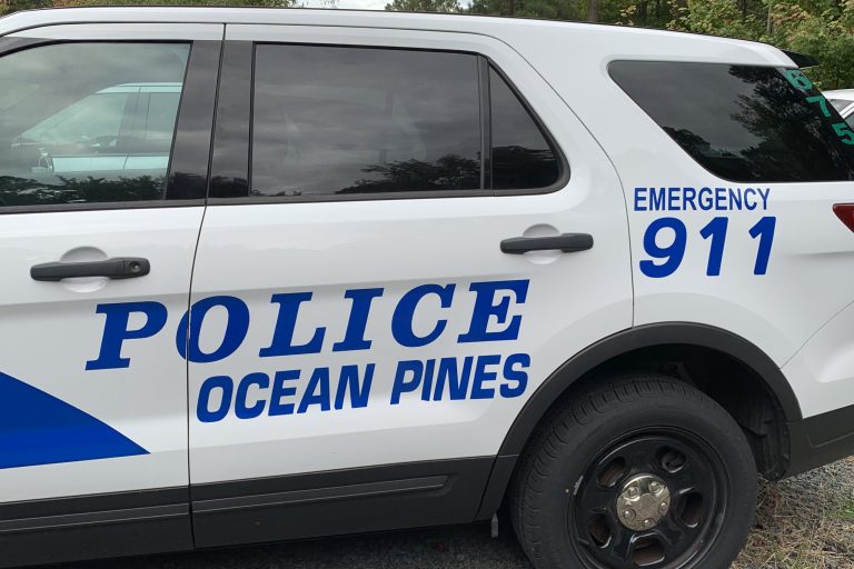 Pines police car